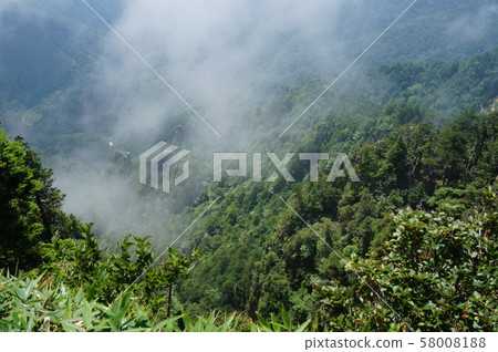 [World Heritage Sacred Sites and Pilgrimage Routes in the Kii Mountain Range] Omine Okukumado Peacock Peeping Fogful 500 Rakan Totsukawa Village, Yoshino District, Nara Prefecture 58008188
