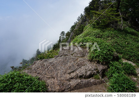 [World Heritage Sites and Pilgrimage Routes in the Kii Mountain Range] Peacock Peeping on the Omine Okukumado, where the fog is boiling, Totsukawa Village, Yoshino District, Nara Prefecture 58008189