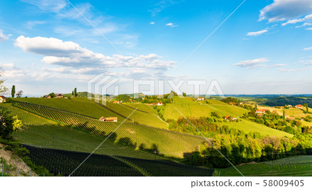 South styria vineyards landscape, near Gamlitz, 58009405