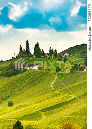 South styria vineyards landscape, near Gamlitz, South styria vineyards landscape, near Gamlitz, 58009409