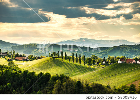 Grape hills view from wine road in Austria. South 58009410