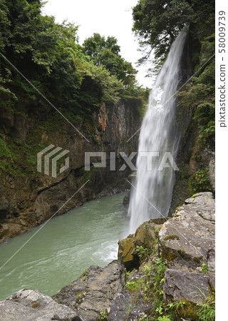 Watataki Waterfall Tetori Gorge (Hakusan City, Ishikawa Prefecture) 58009739