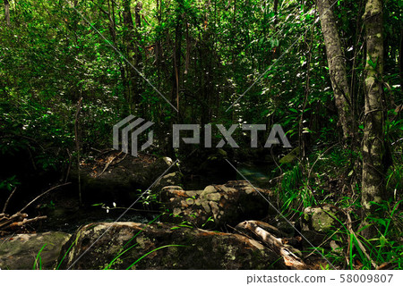 Small creek flows among stones in the Small creek flows among stones in the 58009807