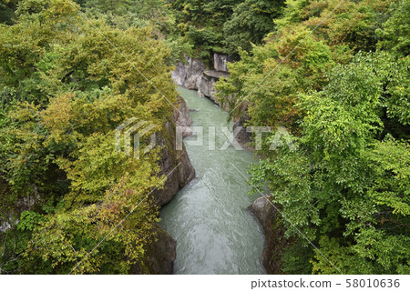 Downstream of Komonbashi, Tetori Gorge (Hakusan City, Ishikawa Prefecture) 58010636