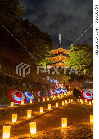 Asuka Hikari no Corridor 2019 Okadera Light Up 58010852