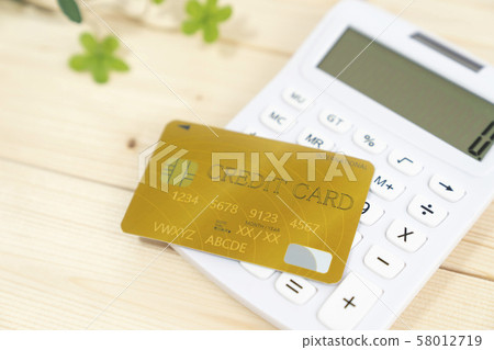 信用卡金卡 信用卡金卡 58012719