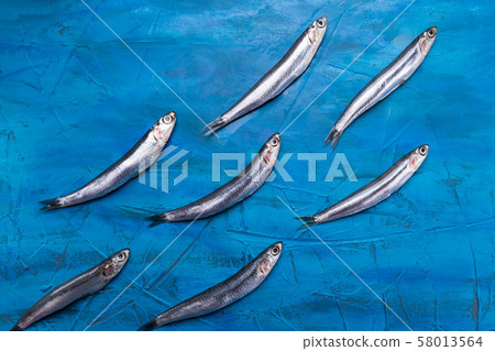 Fish pattern. Anchovies are swimming on a blue sea Fish pattern. Anchovies are swimming on a blue sea 58013564