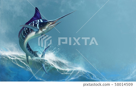 striped marlin on sea, fish sword. Realistic isolated illustration. 58014509