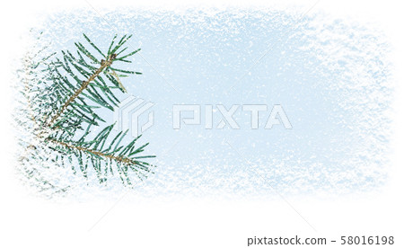 Christamas tree branch covered with snowfall Christamas tree branch covered with snowfall 58016198