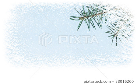Christamas and new year fir tree branch covered Christamas and new year fir tree branch covered 58016200