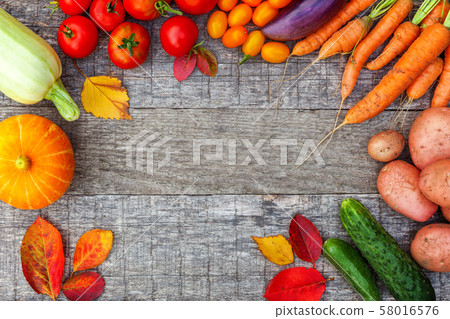 Assortment different fresh organic vegetables on 58016576
