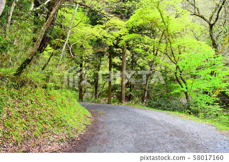 Teiji Gorge 58017160