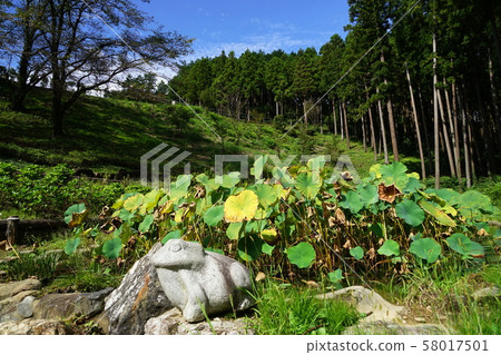 September Hinodecho 25 Hasuike, Kano Daibutsu, Nishitama 58017501