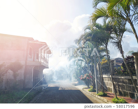 Mosquitoes disinfection on street 58017596