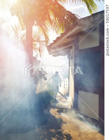 Pest control service Pest control service 58017597