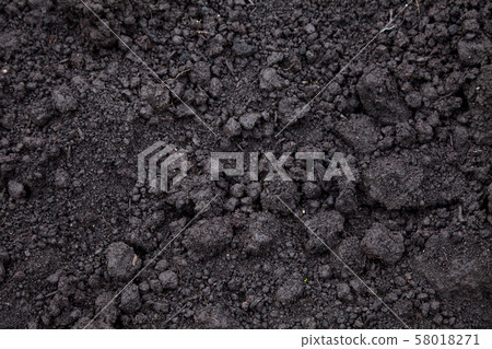 soil soil 58018271