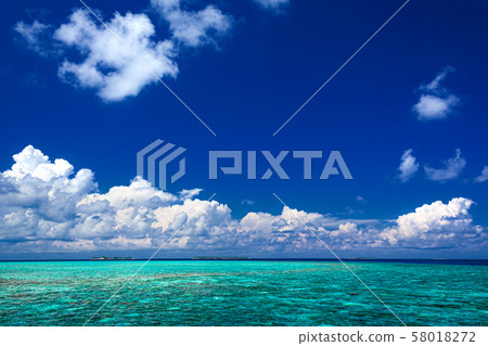 馬爾代夫熱帶風景2 馬爾代夫熱帶風景2 58018272
