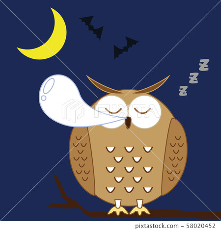 Sleeping owl 58020452