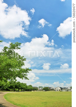 A refreshing blue sky park 58020477