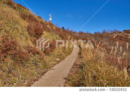 View the summit direction from 1650m near Mt. 58020932