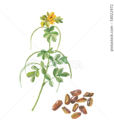 Ebisugua Ketsumeishi 58022972