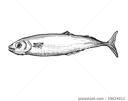 Koheru New Zealand Fish Cartoon Retro Drawing 58024912