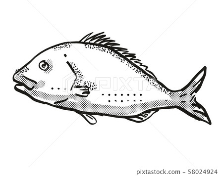 Snapper New Zealand Fish Cartoon Retro Drawing - Stock Illustration ...