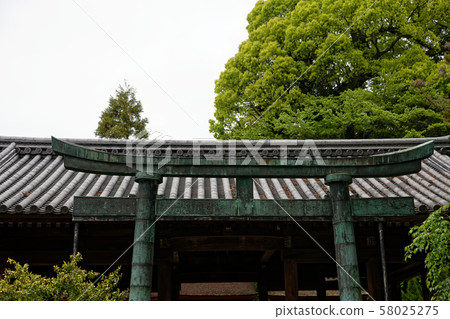 廣島縣嚴島神社 廣島縣嚴島神社 58025275