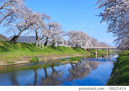 清晨排的櫻桃樹 58025414