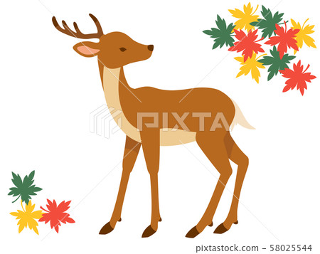 Illustration of deer and autumn leaves Illustration of deer and autumn leaves 58025544