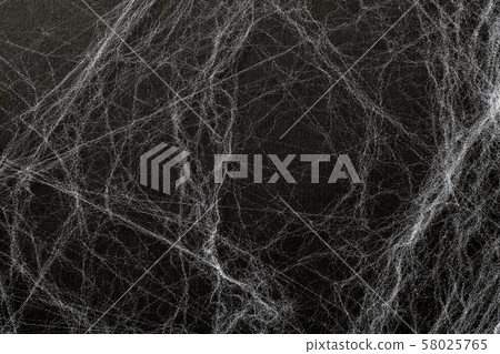 Artificial cobweb or spaider web on a black 58025765