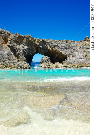 Ogiike on the South Island (Ogasawara Islands, Chichijima Islands) 58025947