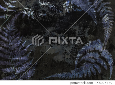 Nature art, fern plant 58026479