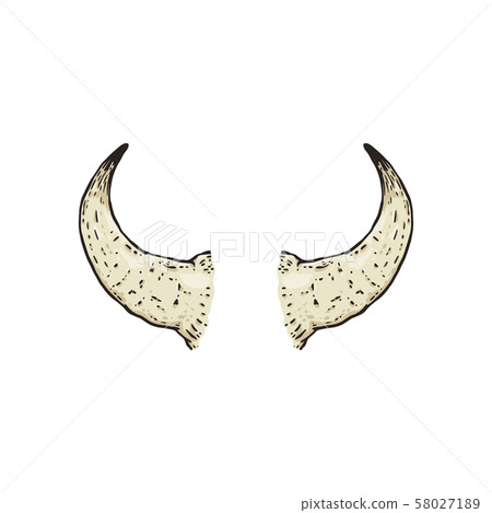 Buffalo hand drawn horns the cartoon vector illustration isolated on background. 58027189