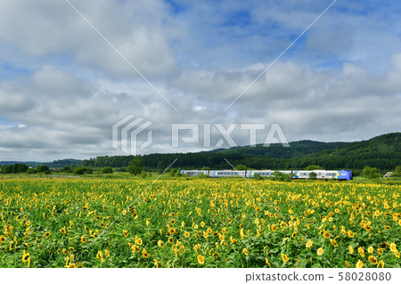 向日葵和基哈系列261特快列車 58028080