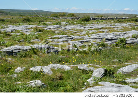 Rock formation in National Park, Ireland  58029203