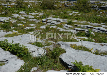 Rock formation in National Park, Ireland  58029204
