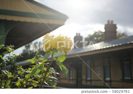 藍鈴鐵路霍斯特德凱恩斯站 藍鈴鐵路霍斯特德凱恩斯站 58029761