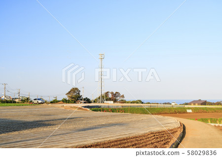 田野（秋天） 58029836