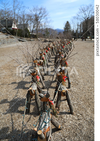 Wood reindeer 58030042