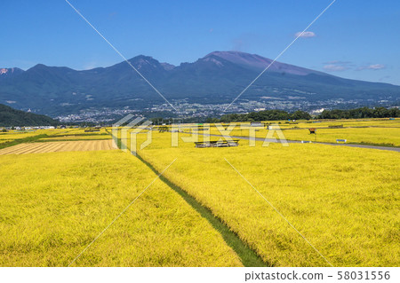 Shinshu Kouehara Road Station, Saku City, Nagano Prefecture Hot Park Asama Autumn Gorobei Rice Paddy and Mt. Asama Shinshu Kouehara Road Station, Saku City, Nagano Prefecture Hot Park Asama Autumn Gorobei Rice Paddy and Mt. Asama 58031556