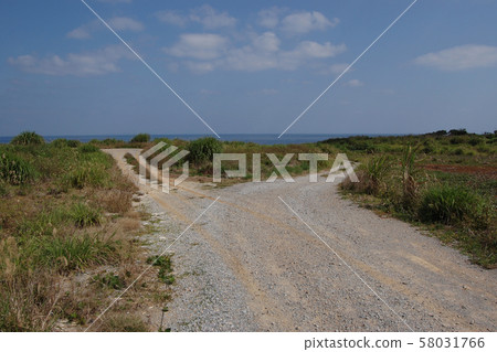 通往沖繩海的離別之路 58031766