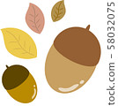 Acorn illustrations 58032075