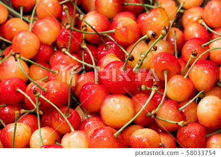 Lots of fresh cherries / close-up 58033754