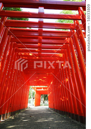 Fukakawa Shrine, Seto City, Aichi Prefecture Fukakawa Shrine, Seto City, Aichi Prefecture 58033809