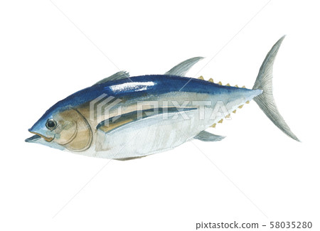 Bincho tuna 58035280