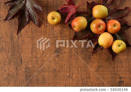 Fall image background Fall image background 58036146