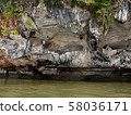 Island andaman sea in Phang Nga, Thailand. March 2019 58036171