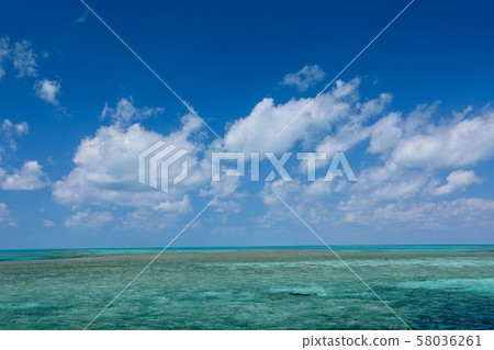 澳大利亞漢密爾頓島 澳大利亞漢密爾頓島 58036261