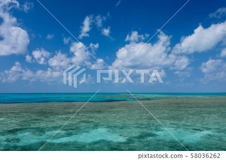澳大利亞漢密爾頓島 澳大利亞漢密爾頓島 58036262